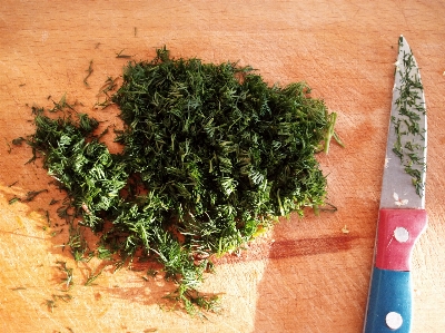 Food board slicing dill Photo