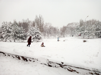 Winter snow landscape street Photo