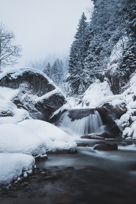 Snow body of water winter