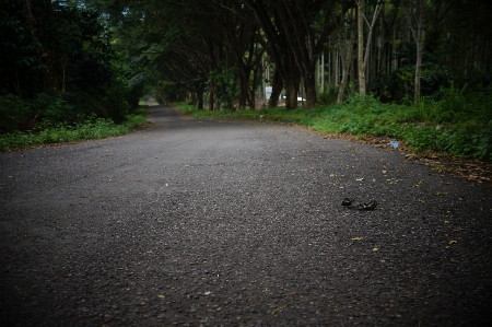 Photography asphalt nature road surface Photo