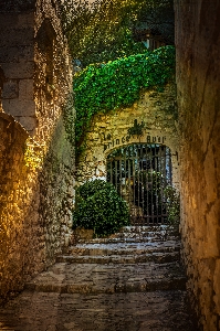 Provence nature alley street Photo