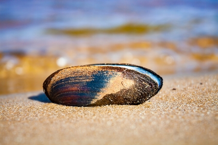 海 川 湖 水 写真