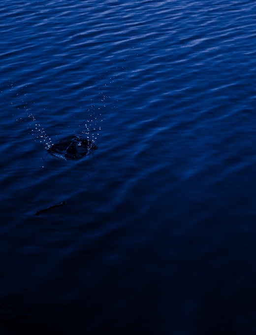 Biru air laut langit