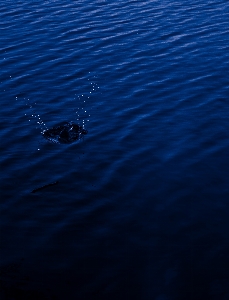 Foto Azul agua océano mar