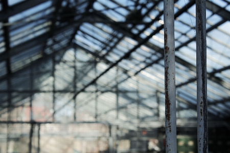 Old glasshouse greenhouse rusty Photo