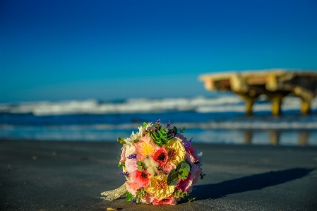 Flowers sea beach sunset Photo