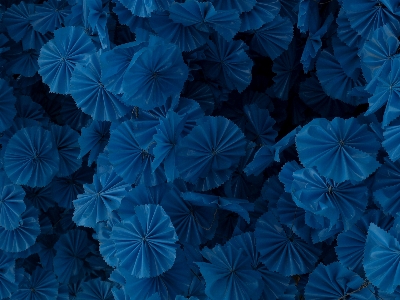 Flowers blue plastic texture Photo