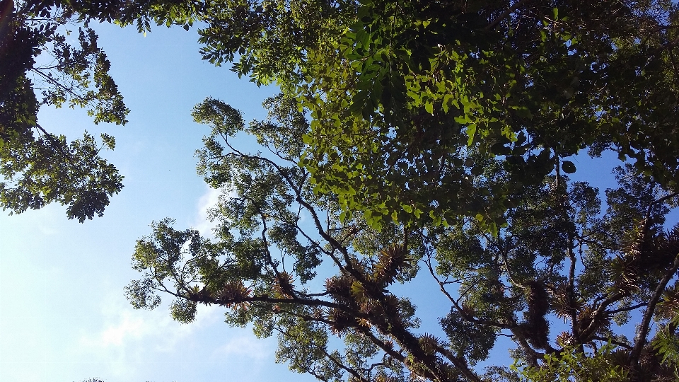 Langit awan alam gunung