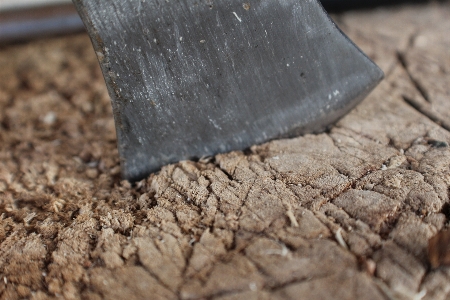 Ax wood work blade Photo