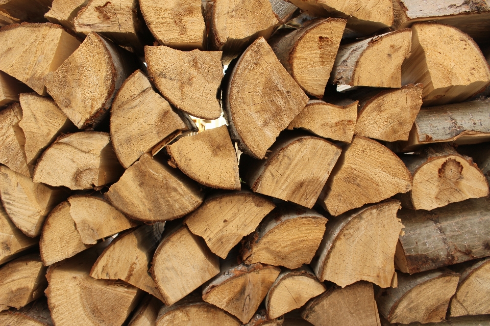 Holz baum feuer protokollierung