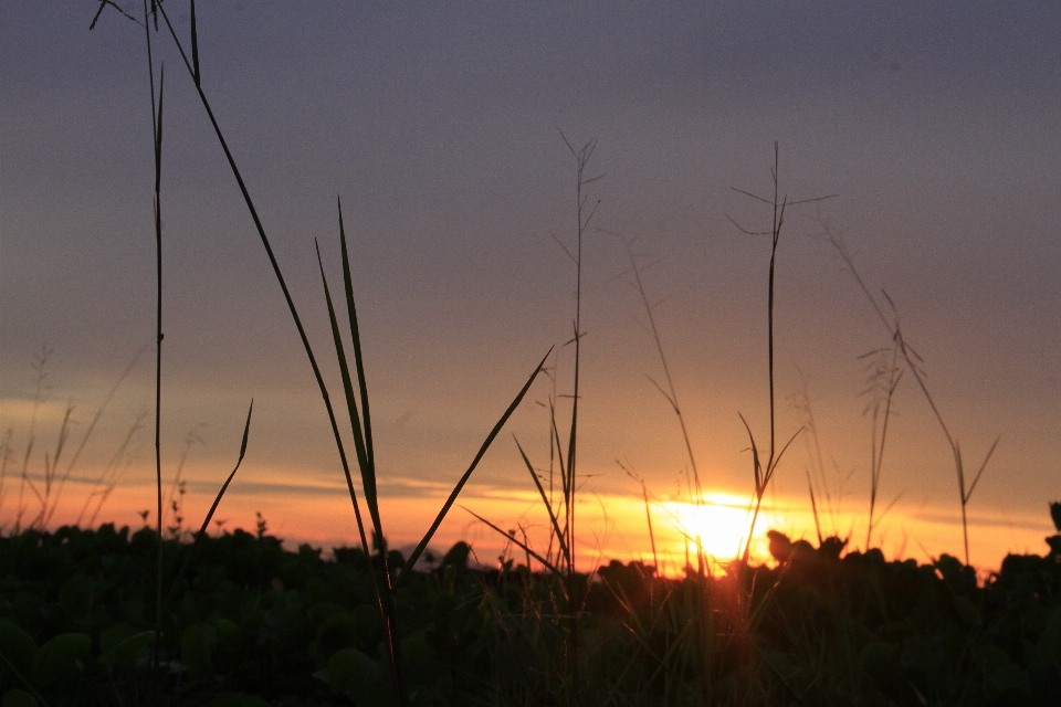 Nature sky afterglow sunset