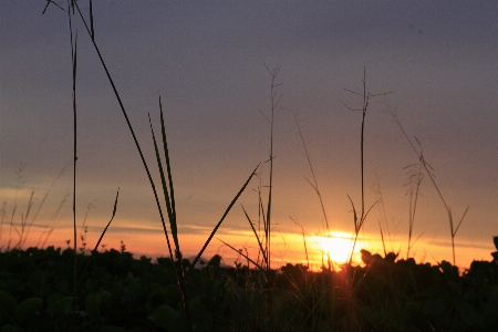 Nature sky afterglow sunset Photo