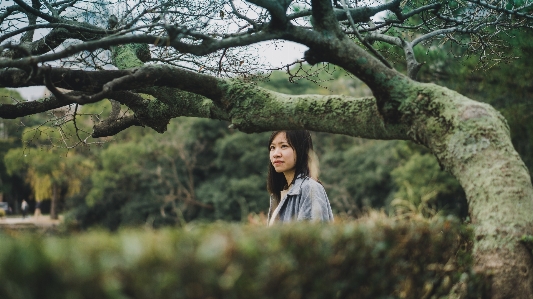 People in nature photograph tree Photo