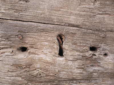 Door keyhole old wood Photo