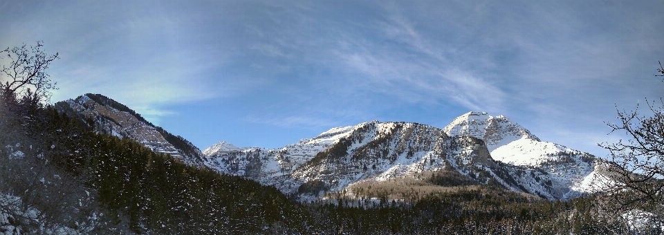 Beyaz kapaklar
 dağlar timpanogolar
 kar