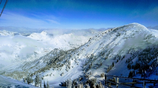 Foto Avalancha invierno pino árboles