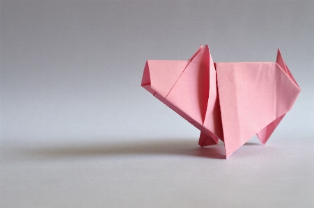 Foto Papel de origami
 origami arte
 rosa