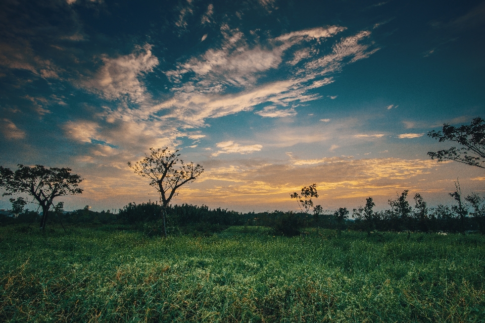 Sky natural landscape nature grassland