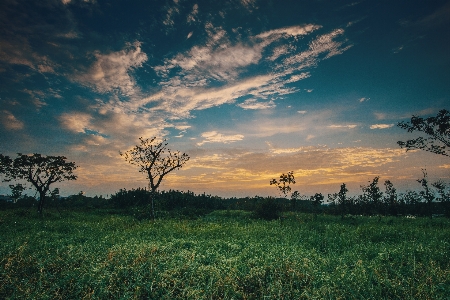 Sky natural landscape nature grassland Photo