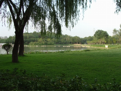 Anlage natürliche landschaft
 natur grün Foto