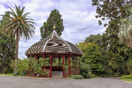 Avustralya melbourne kurban
 botanik Fotoğraf