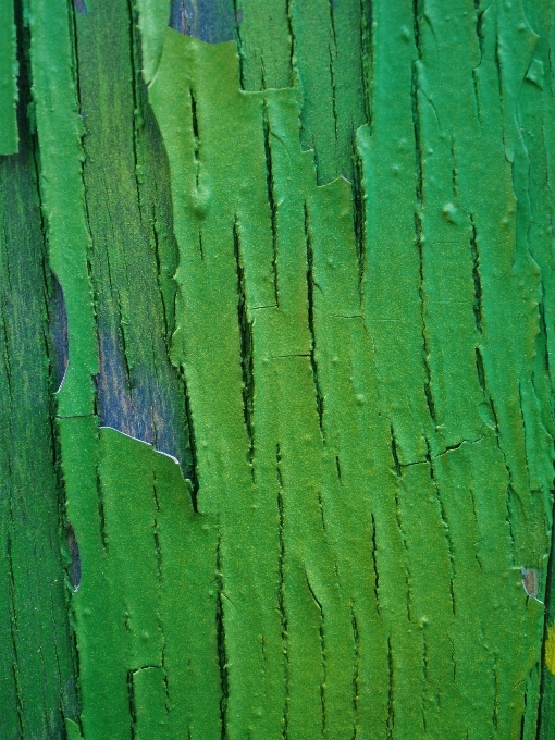 Colour green paint old