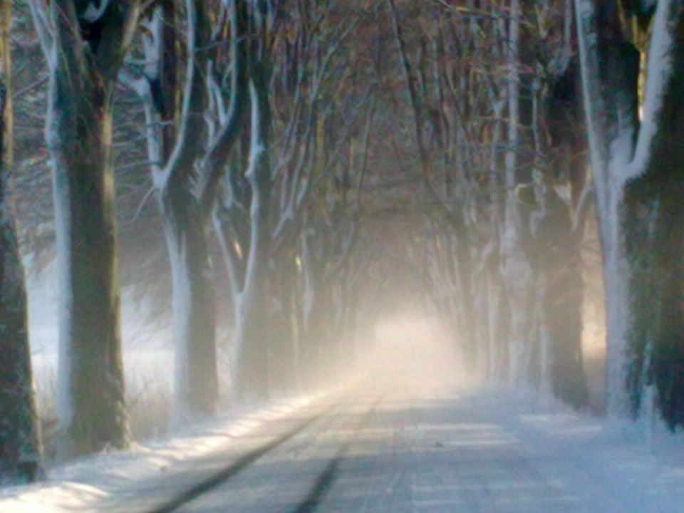 Winter road morning nature