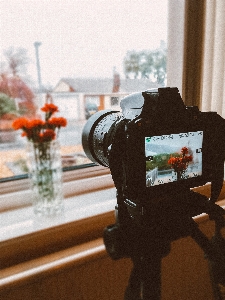 Foto Acessório da câmera
 óptica de câmeras
 câmera flor