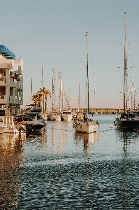 Marina water boat harbor Photo