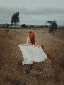 Foto Foto gaun langit rumput