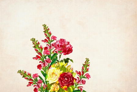 Flower floral background border Photo