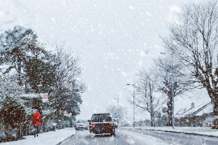 Foto Nevicare inverno congelamento albero