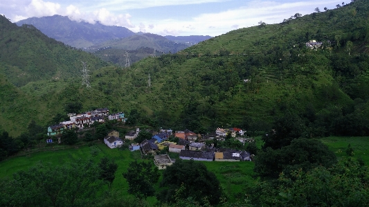 自然 森 風景 秋 写真