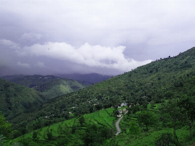 Natural nature forest landscape Photo