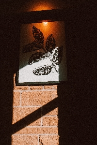 Butterfly light leaf wall Photo