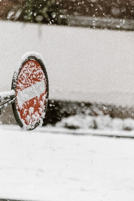 Nevicare inverno congelamento gelo