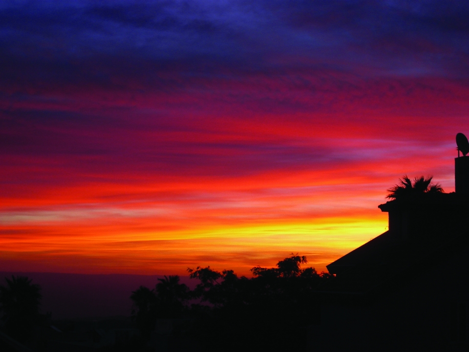 Trees houses sky afterglow