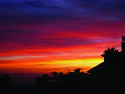 Trees houses sky afterglow Photo