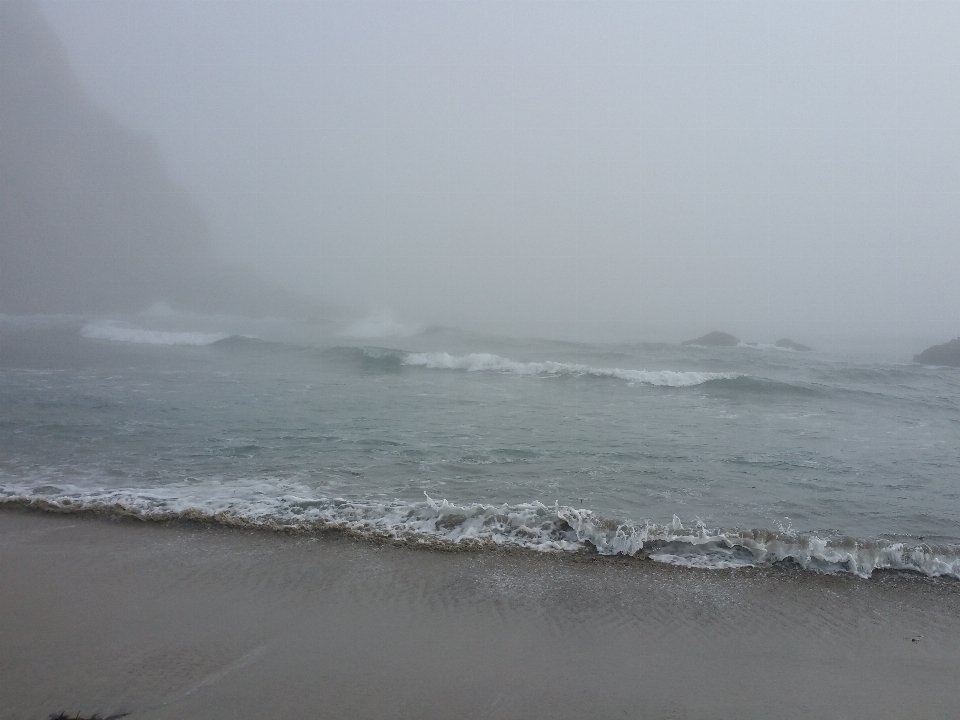 Beach misty sea wave