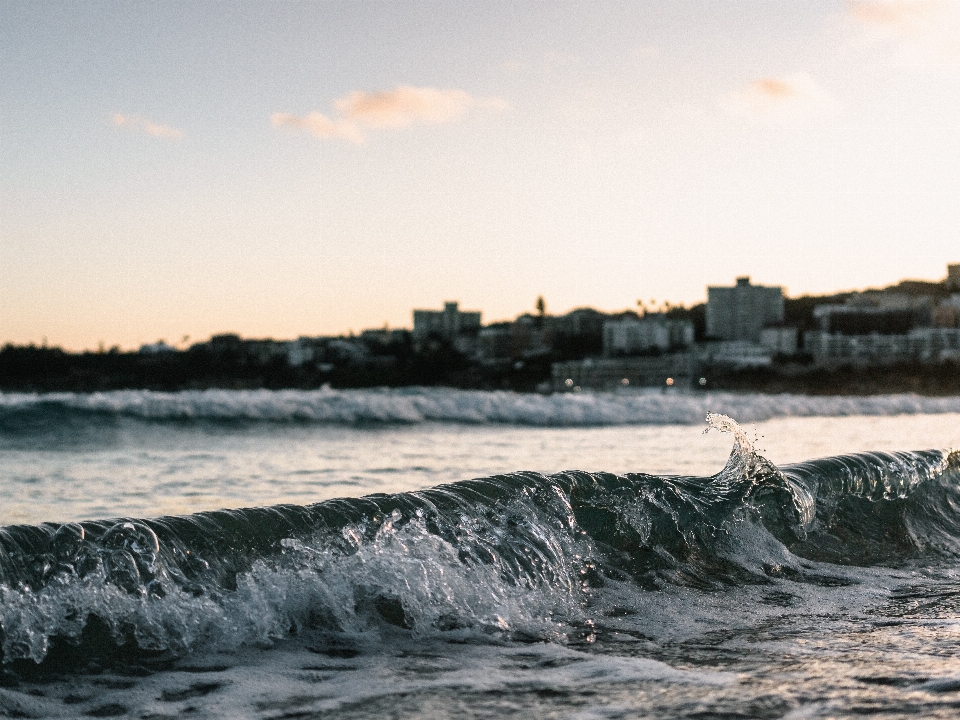 Vague de vent
 plan d'eau
 mer