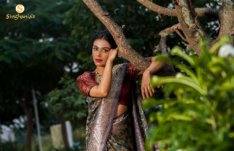 Photo Aux femmes
 dame beauté arbre