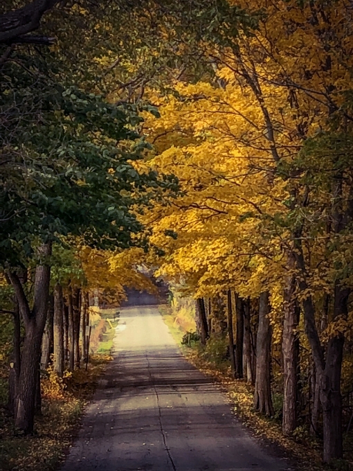 Country roads fall colors