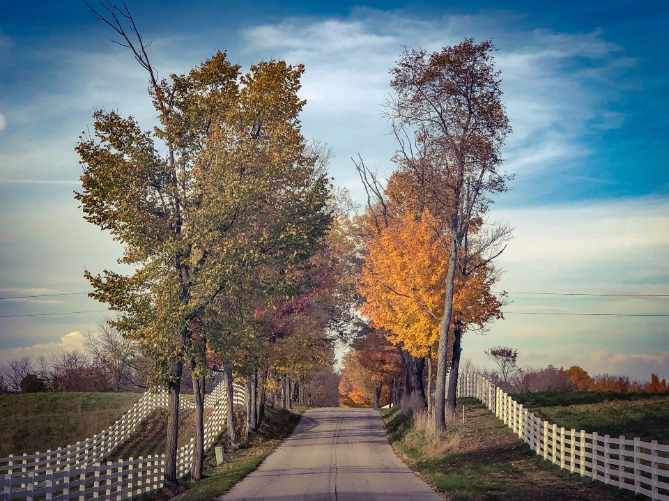 Country roads fall colors