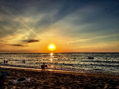 ビーチ 日没 空 地平線 写真