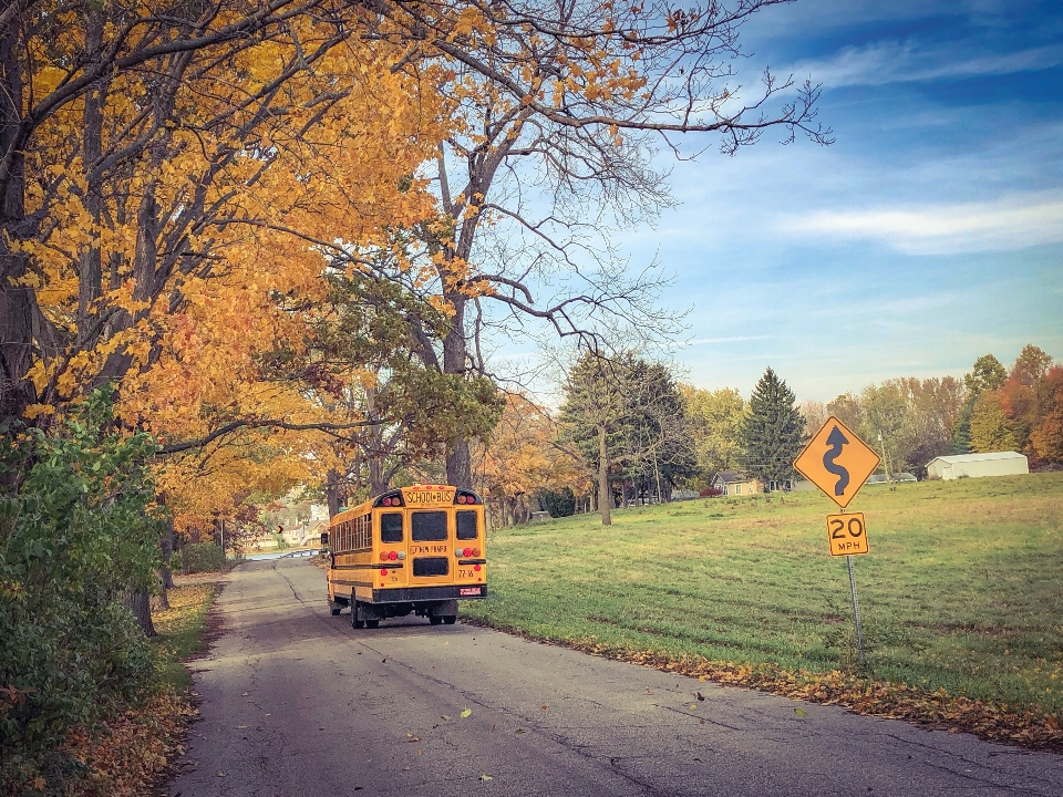 Country roads fall colors