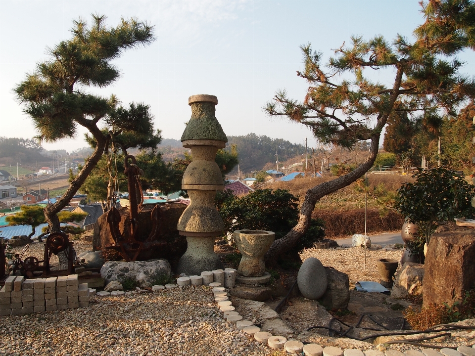 公園 木 風景 古代の歴史
