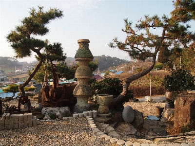 公園 木 風景 古代の歴史
 写真