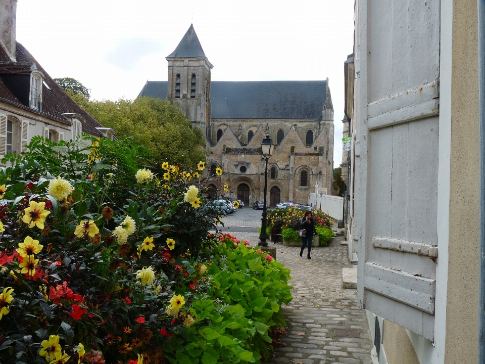 église de la madeleine
 châteaudun
 france ville