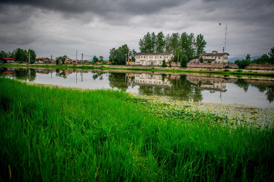 Green nature home water