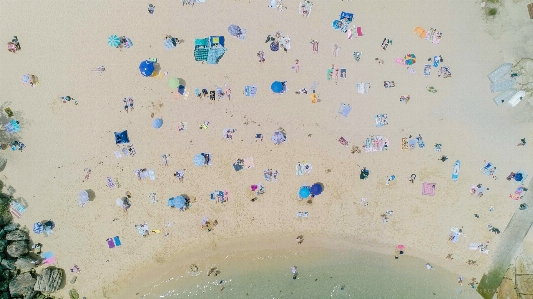 Muschelstrand
 männlich
 sydney australien Foto